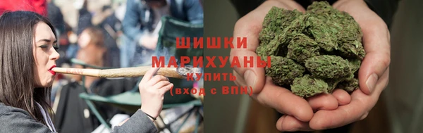 ECSTASY Липки