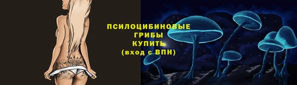 ECSTASY Липки