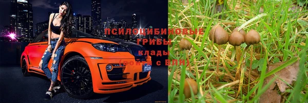 бошки Ладушкин