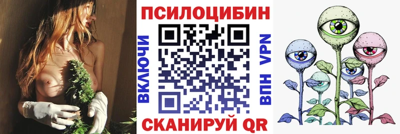 Псилоцибиновые грибы GOLDEN TEACHER  Куровское 